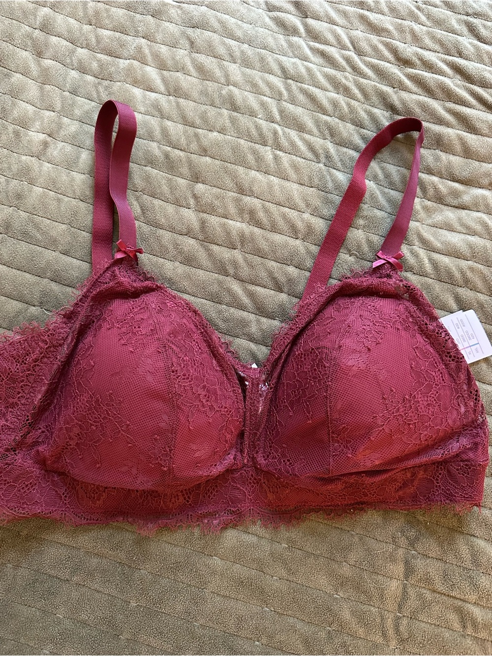 Auden Lace Underwire Bra in Berry